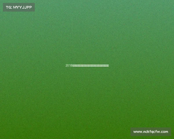 2018年门球国际赛事全景回顾展现门球运动的魅力与竞技精神