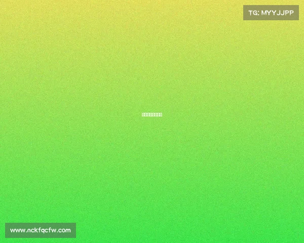 排球比赛活动报道